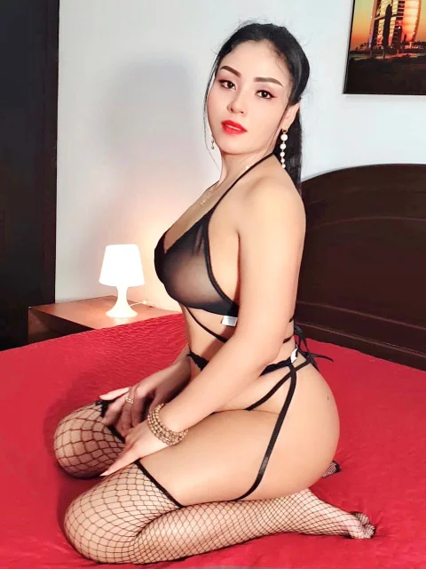 Stella 3
